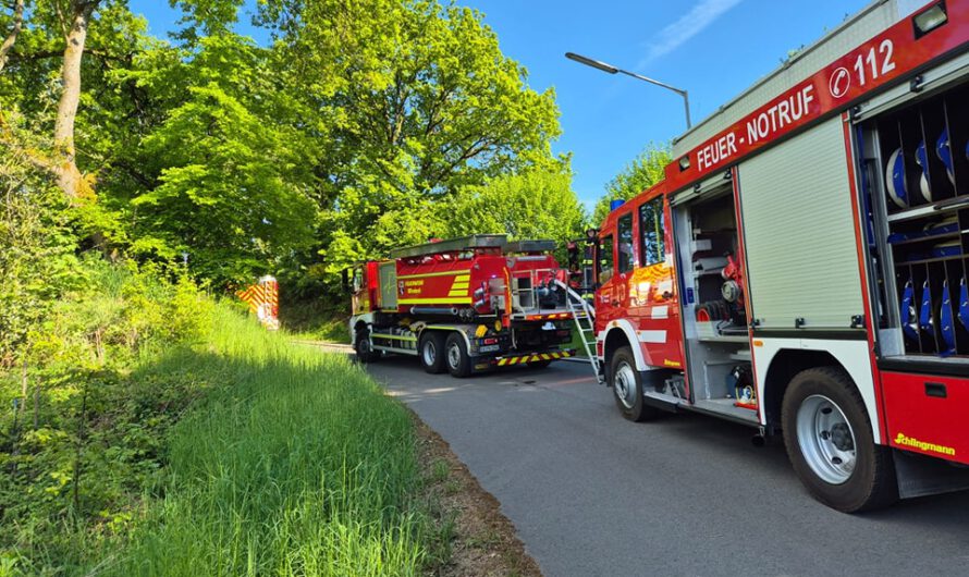 Flächenbrand