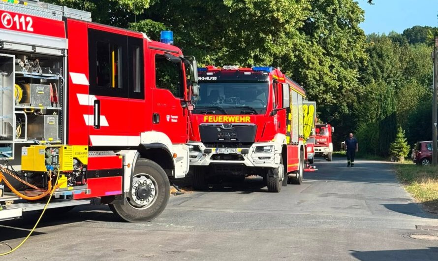 Rauchentwicklung aus Keller